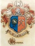 stitched coat of arms
