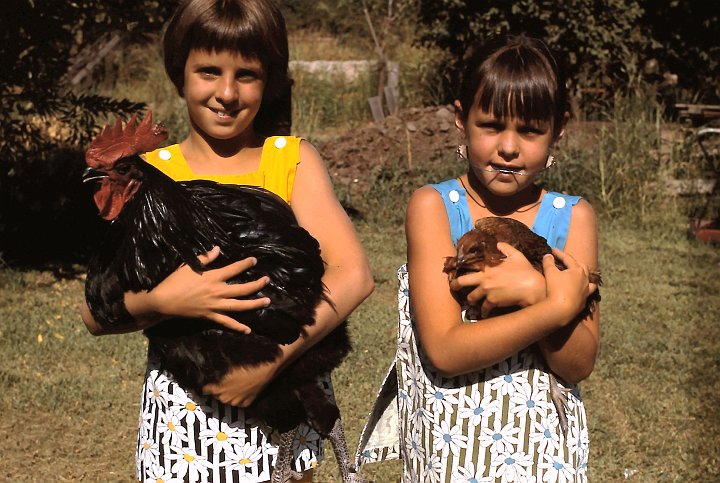 1969_07b.jpg - A visit with "Douglas" and his friend in Oakdale - July 1969