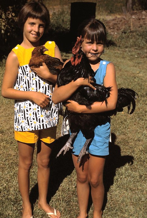 1969_07c.jpg - A visit with "Douglas" and his friend in Oakdale - July 1969